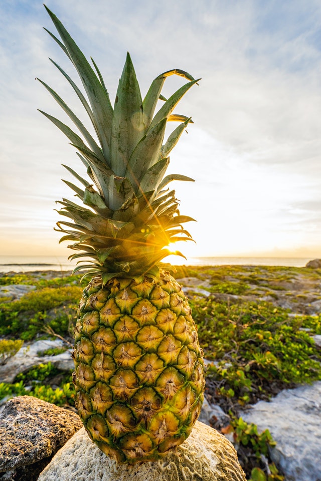 whole pineapple fruit with leaves standing atop a rock with a bright blue sky with sun in the background