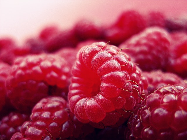 closeup of bright red raspberries