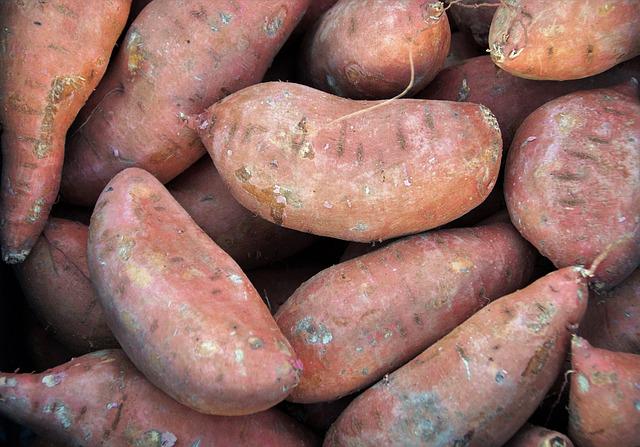 closeup of pile of whole sweet potatoes